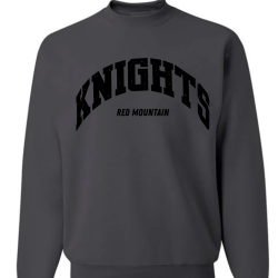 Varsity Embroidered Sweatshirt