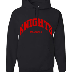 Varsity Embroidered Hoodie